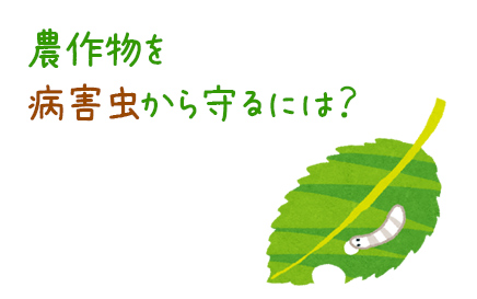 JGAP「食の安全の確保」より~IPM技術の取り組み~